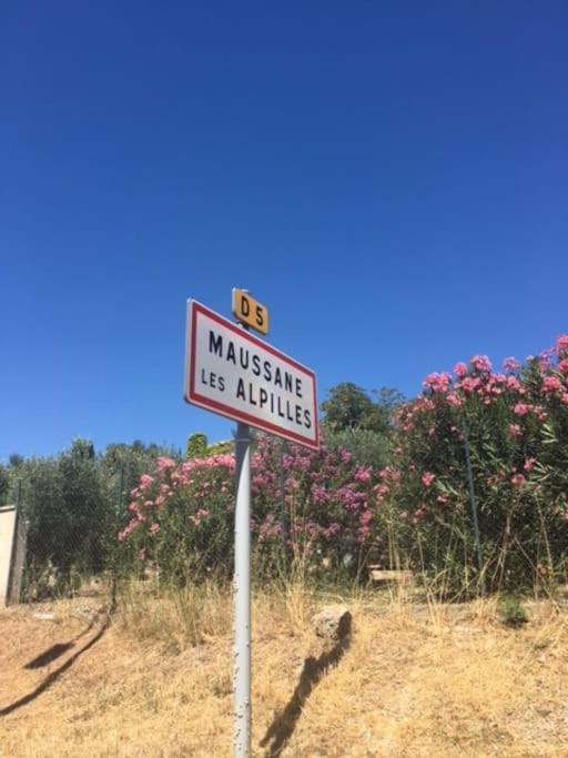 Mazet Provencal Au Coeur Des Alpilles La Reverie Моссан-лез-Альпий Экстерьер фото