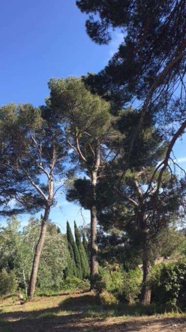 Mazet Provencal Au Coeur Des Alpilles La Reverie Моссан-лез-Альпий Экстерьер фото